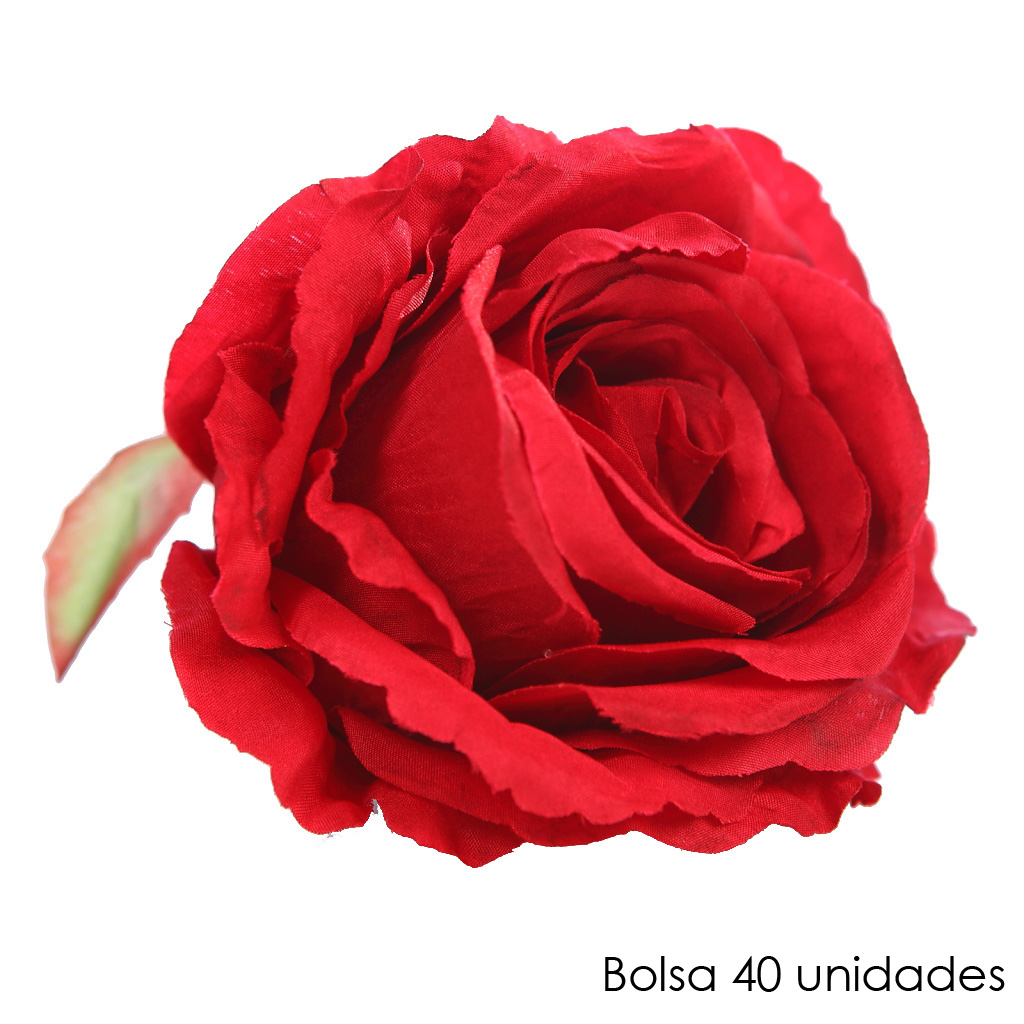 Texto alternativo