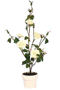 MACETA ROSAL 78CM