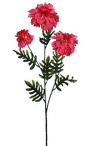 VARA MARIGOLD 60CM