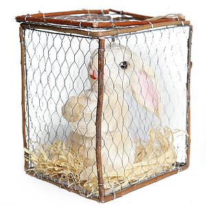 CONEJO EN JAULA PEQUEÑO 