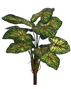 PLANTA CALADIUM 51CM