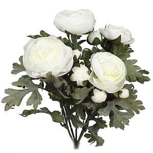 PLANTA DE RANUNCULOS, 30 CM