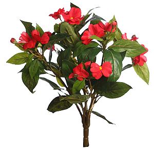 PLANTA IMPATIENT 35CM