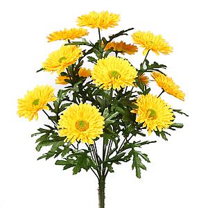 RAMO DE MARGARITAS X 12, ALT. 43CM