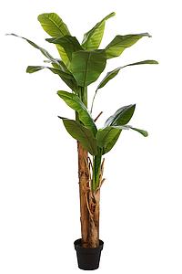 PLATANERA BANANERA ARTIFICIAL 180 CM 