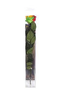 ESTUCHE ROSA NATURAL RAINBOW ETERNA PRESERVADA 55CM 
