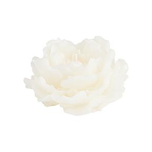 VELA FLOR PEONIA 