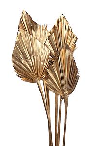 PALM SPEAR X6 METALIZADO 45CM 