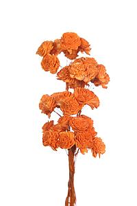 POMO X4 SOLA ROSE MINI 20CM 