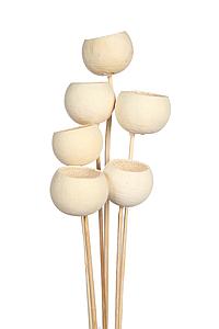 BELL CUP X6, ALT 60CM