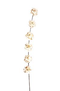 SOLA SUSHANTO COSMOS STICK