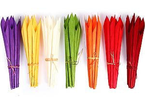 CALA SECA 38 CM POMO DE 12 PCS