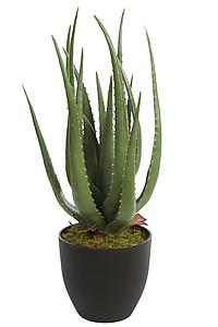 CACTUS ALOE ARTIFICIAL 55CM 