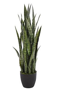 SANSEVIERIA ARTIFICIAL EN MACETA 	100 CM 