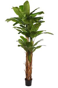 PLATANERO ARTIFICIAL X 3 EN MACETA, 220CM