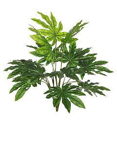 PLANTA ARALIA ARTIFICIAL 