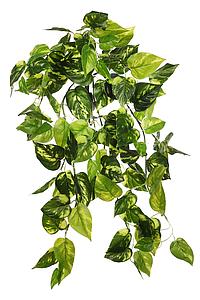 POTHO COLGANTE ARTIFICIAL 50CM