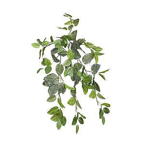 FITONIA COLGANTE ARTIFICIAL 60CM