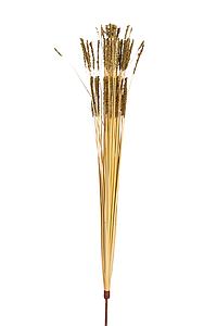 POMO GRASS OTOÑAL