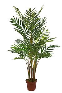 PALMERA BAMBU 155 CM