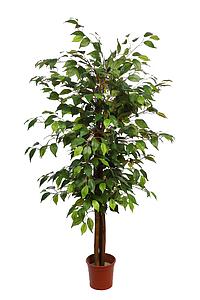 ARBOL DE FICUS ARTIFICIAL 150CM