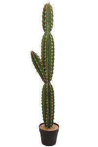 CACTUS CON MACETA 135CM