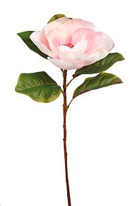VARA MAGNOLIA 80 CM
