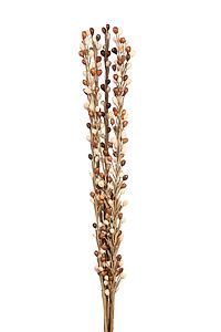 MOTI STICK X6, 60CM