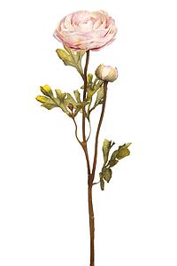 VARA RANUNCULO 54 CM