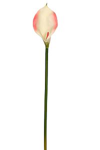 VARA CALA ARTIFICIAL 50CM