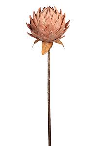 PROTEA VINTAGE GIGANTE 87CM
