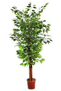 FICUS ARTIFICIAL ARBOL 145CM