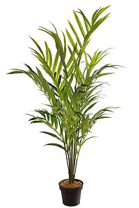 PALMERA KENTIA ARTIFICIAL 155CM