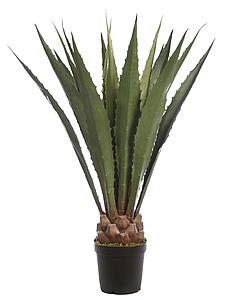 CACTUS AGAVE CON MACETA 125CM