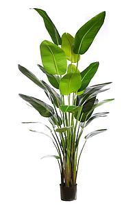 PLANTA BANANERA ARTIFICIAL 260CM