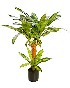 DRACENA ARTIFICIAL EN MACETA 80CM