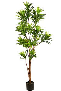 DRACENA EN MACETA ARTIFICIAL 160CM