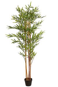 BAMBU ARTIFICIAL CAÑAS 170CM