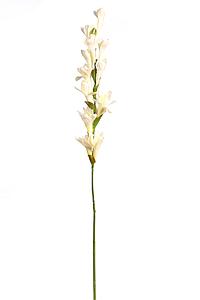 VARA NARDOS ARTIFICIALES 75CM