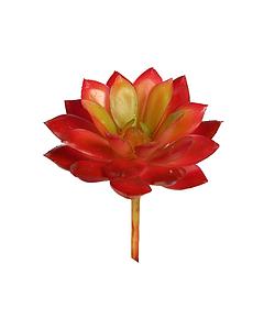 CRASA ECHEVERIA MINI 8CM ARTIFICIAL