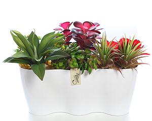 JARDINERA SUCULENTAS ARTIFICIAL 32CM