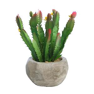 CACTUS FLOR EN MACETA CEMENTO 17CM