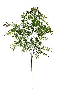 VARA DE EUCALIPTO 100CM