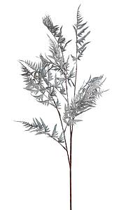 RAMA WILD ARTIFICIAL PASTEL 90CM