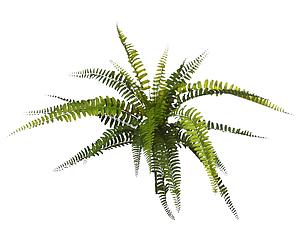 PLANTA ARTIFICIAL HELECHO 40CM