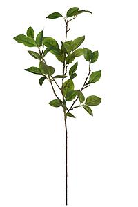 VARA HOJA FRUTAL ARTIFICIAL 80CM