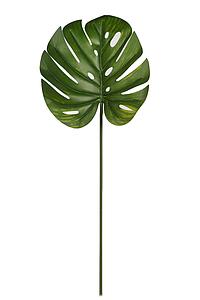 HOJA FILODENDRO ARTIFICIAL 90CM