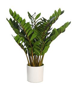 ZAMIOCULCAS ARTIFICIAL EN MACETA 65CM