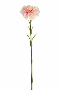 VARA DE CLAVEL ARTIFICIAL 58CM