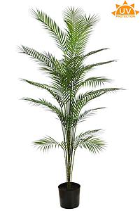 ARECA ARTIFICIAL EN MACETA UV 170CM